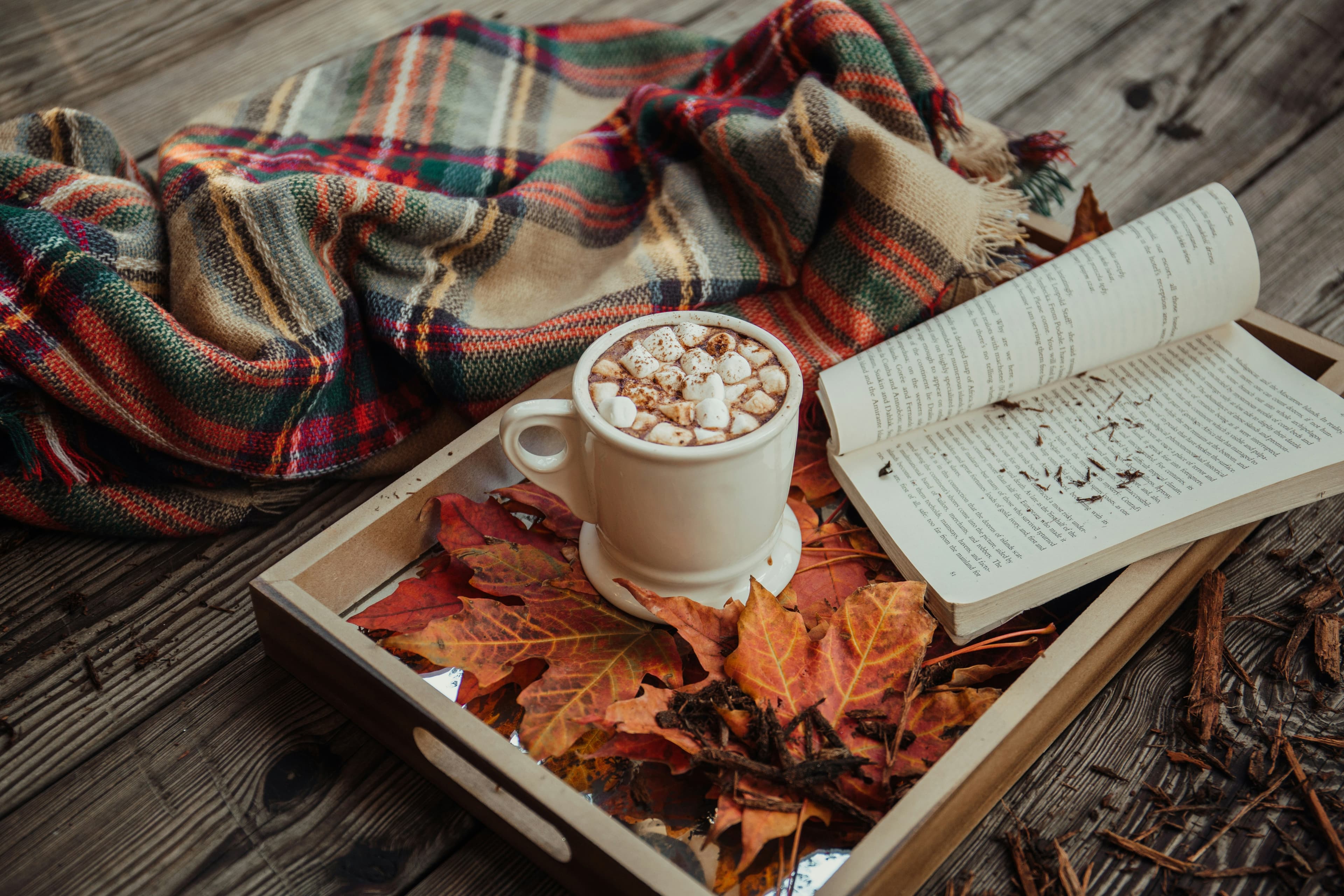 🍂 Herfst & Immuniteit: versterk je natuurlijke afweer op een zachte manier