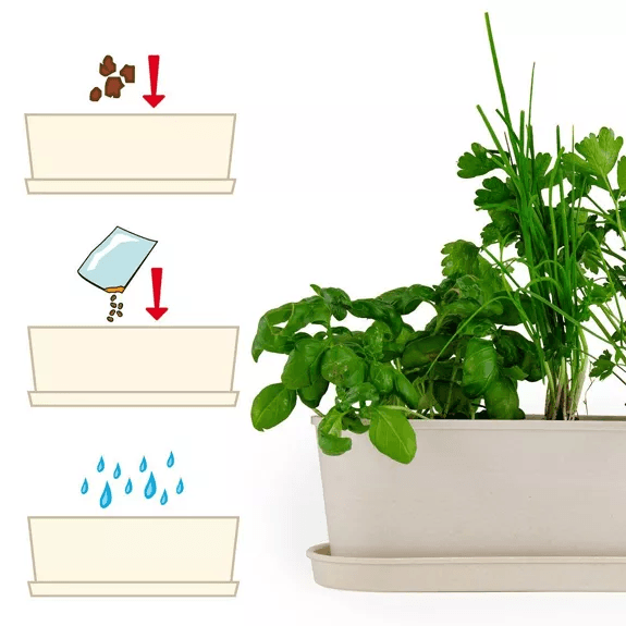 Aromates - Jardinière bambou - Radis et Capucine