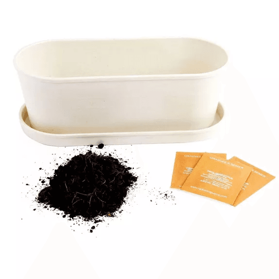 Aromates - Jardinière bambou - Radis et Capucine