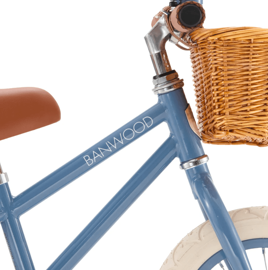 Draisienne Balance bike - Blue - Banwood