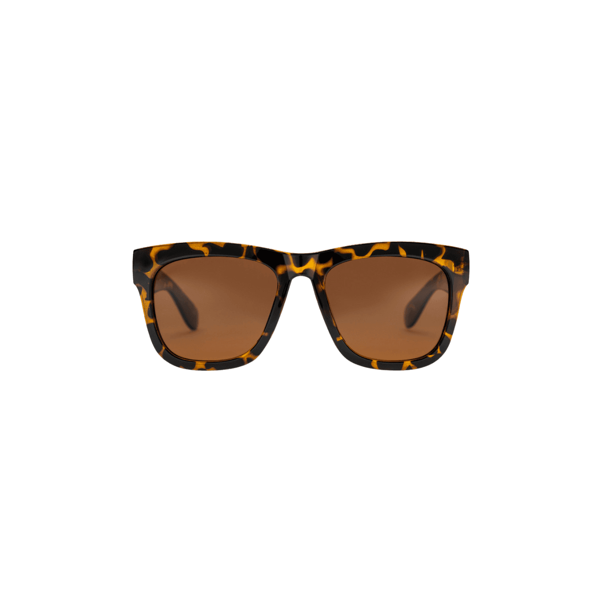 Lunettes de soleil HAZE - Turtle brown/Brown 16131HC - CHPO