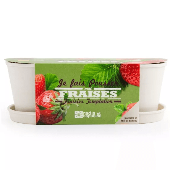 Fraisiers - Jardinière bambou - Radis et Capucine