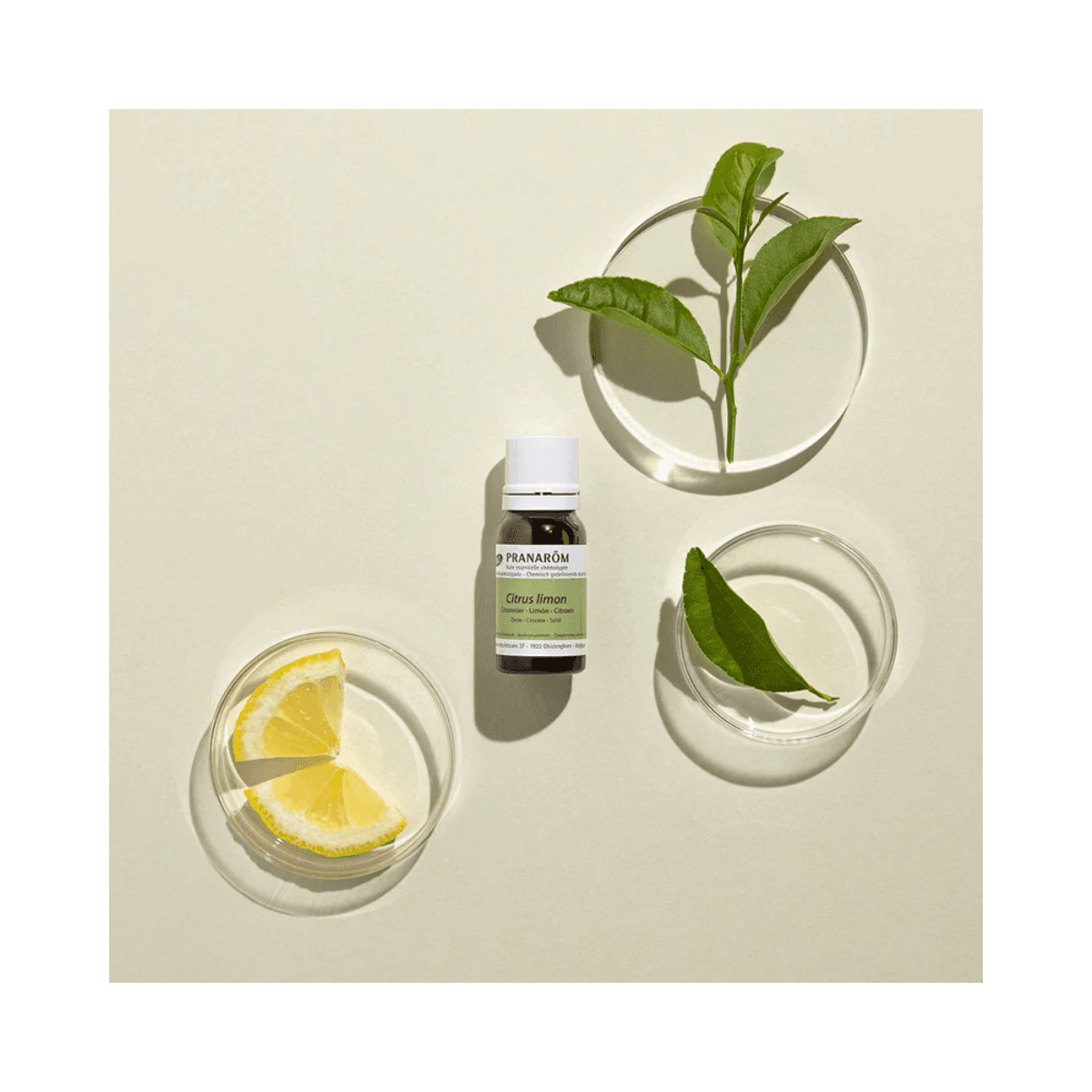 Huile essentielle citronnier BIO 10ml - Pranarôm