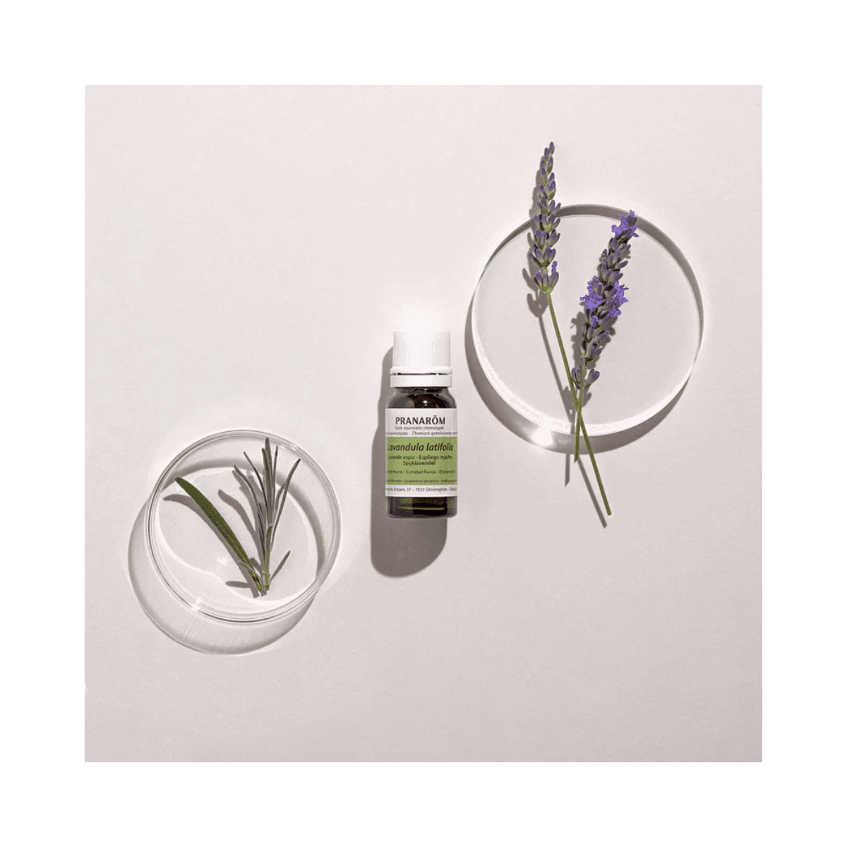 Essentiële olie van lavendel Aspic 10ml - Pranarôm