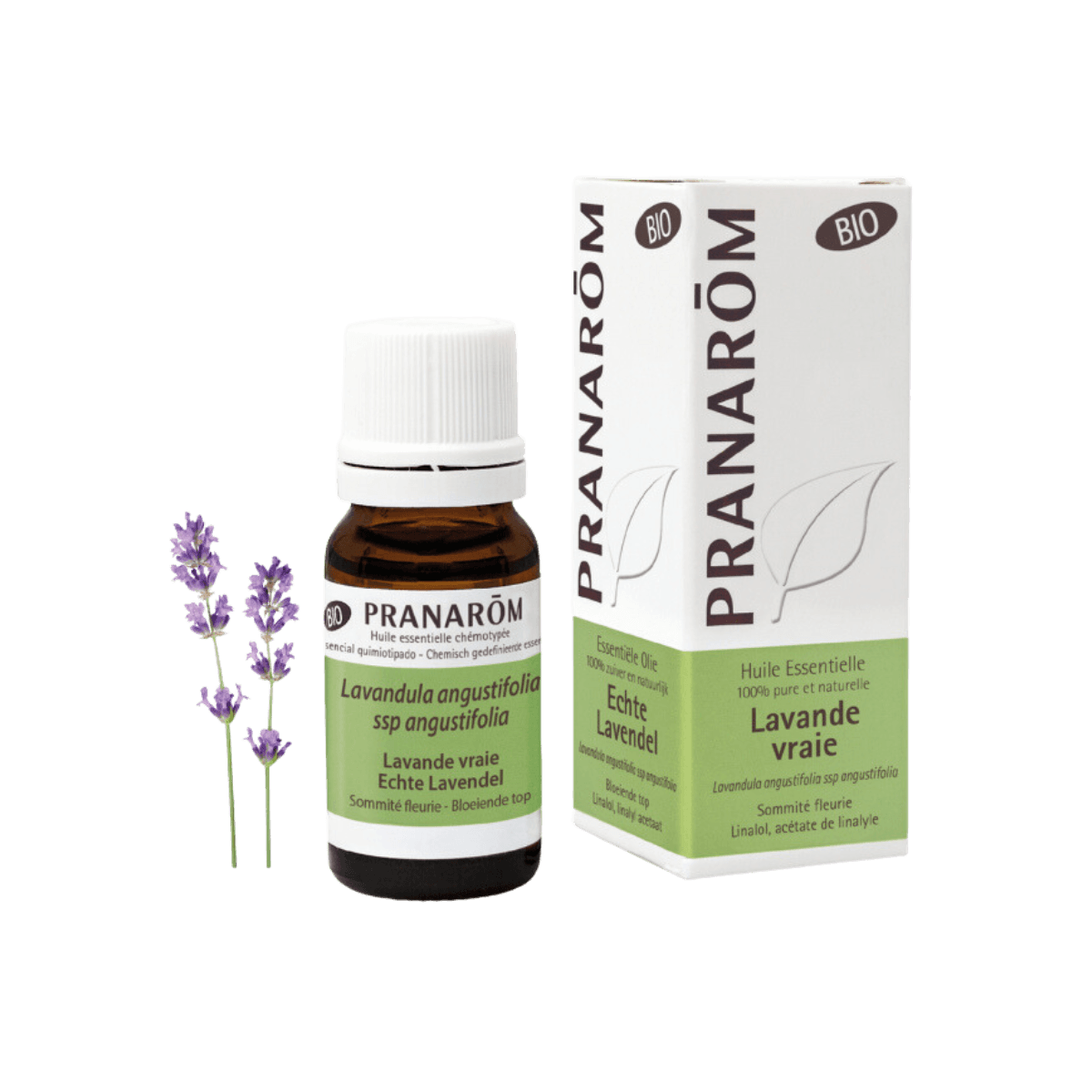 Coffret cadeau Pranarôm DIY - synergie massage hydratant BIO - Pranarôm