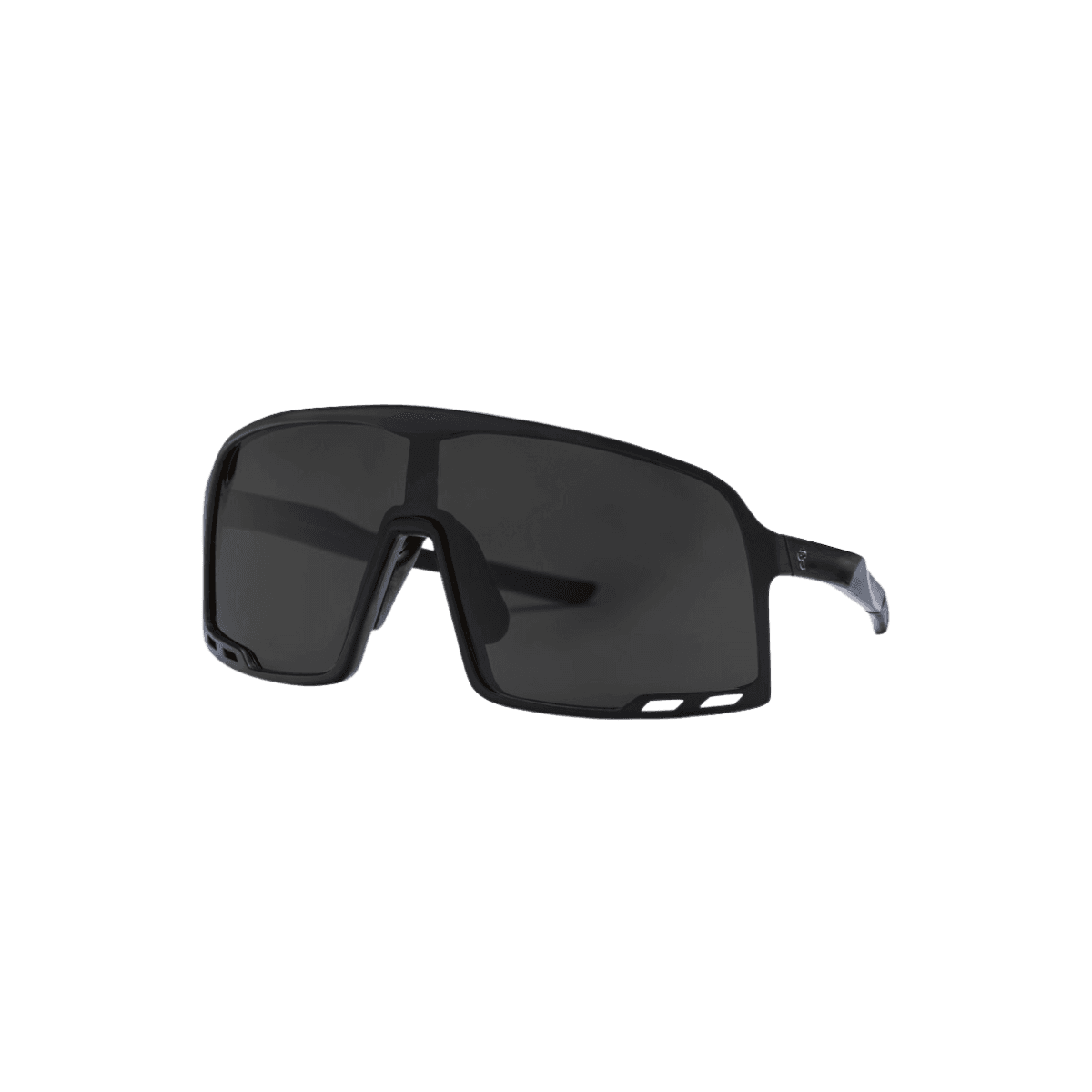 Lunettes de soleil Henrik Matte Black 16132PP - CHPO