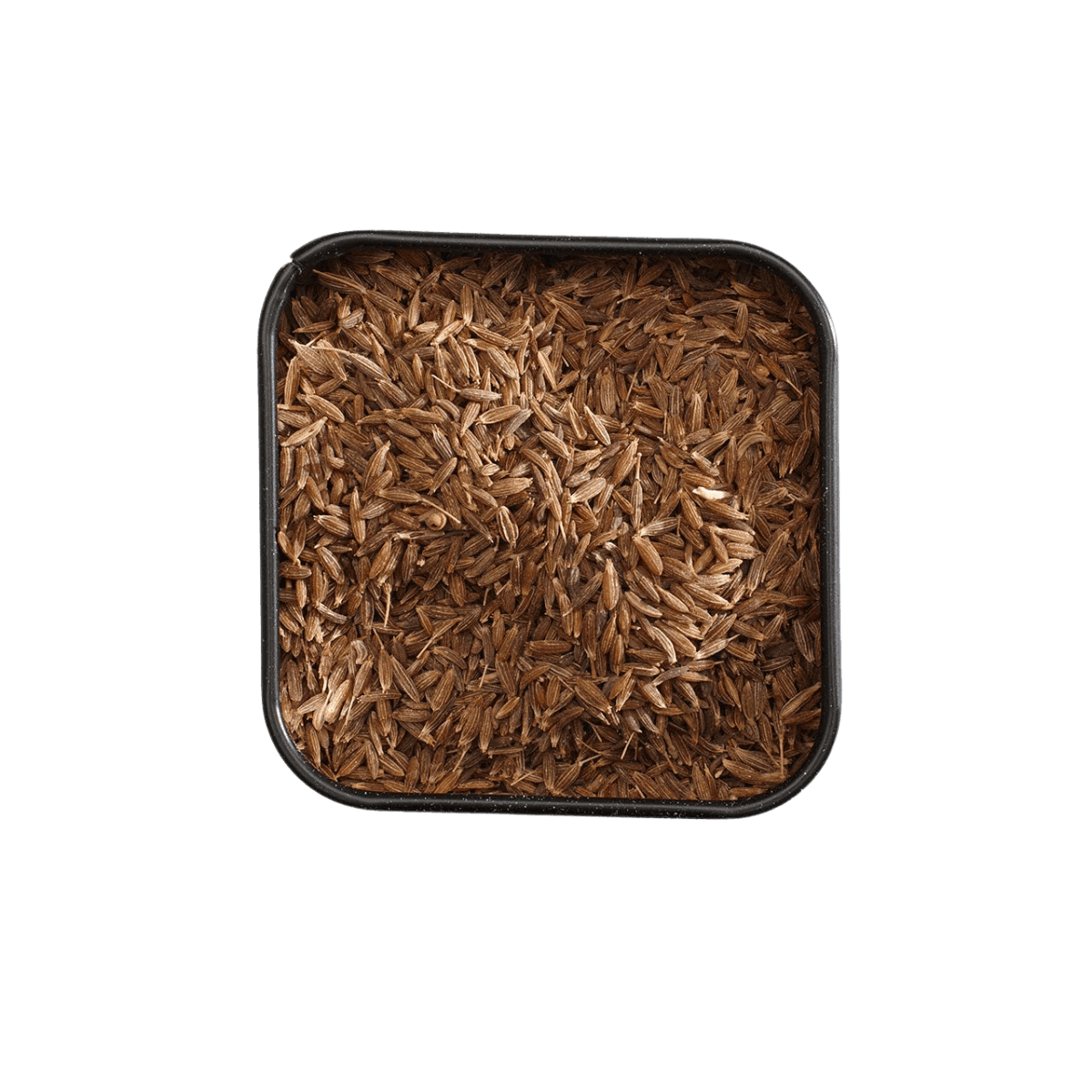 Cumin entier BIO 50g - Mill & Mortar