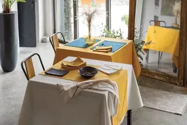 Nappe Delia Paon 170 x 300 - Maison Vivaraise
