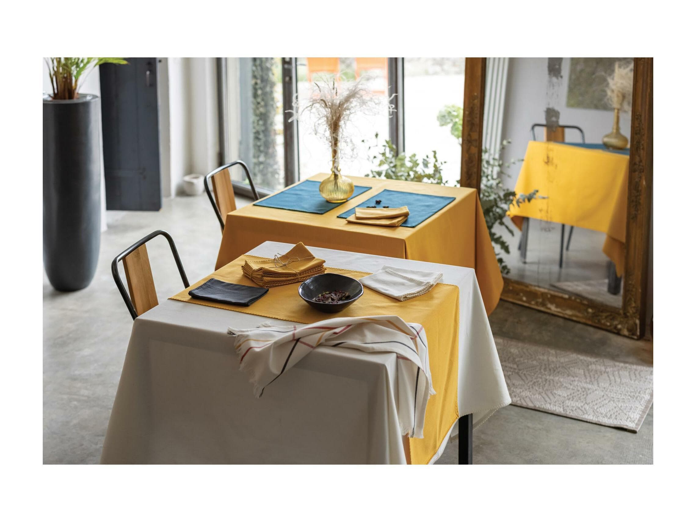Nappe Delia Ombre 170 x 300 - Maison Vivaraise