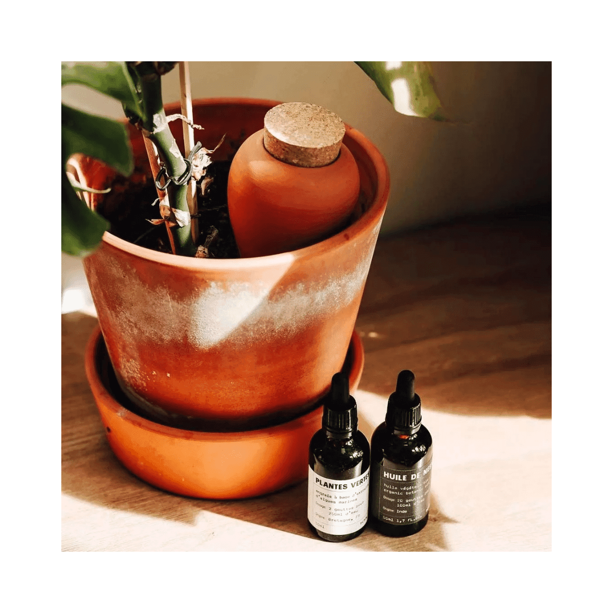 Olla hydratante Pepin - Terracotta - Pepin