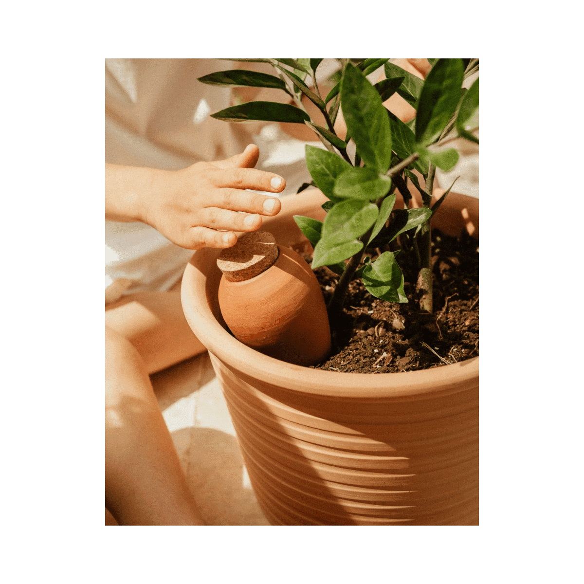 Olla hydratante Pepin - Terracotta - Pepin