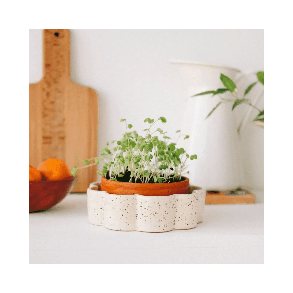 Pot autonome George - Blanc grainé - Pepin