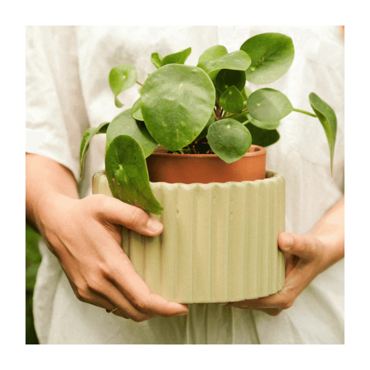 Pot autonome Paula (M) - Vert sauge - Pepin