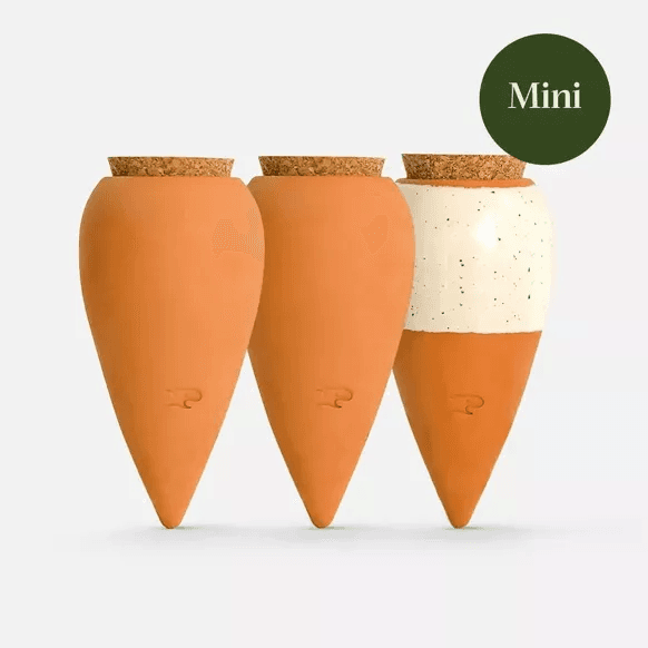 Coffret Trio Mini Ollas - les Iconiques - Pepin
