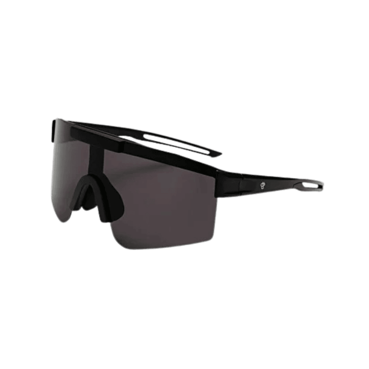 Lunettes de soleil Luca Matte Black/Black 16133NN - CHPO