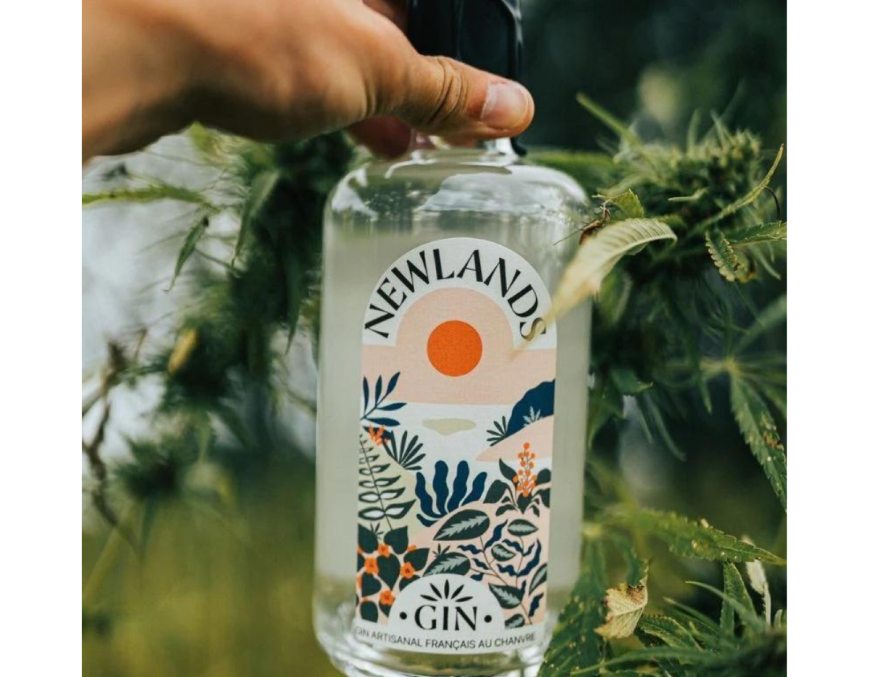 Mélange pour cocktail Classic Gin (baies de genièvre) - Quai Sud